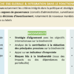 Exigences article 29 LEC